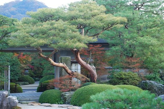 House Inspiraiton Image